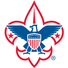 BSA Logo